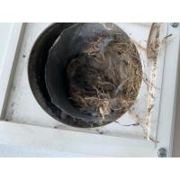 Be sure to check your dryer vents for nests and small critters. 