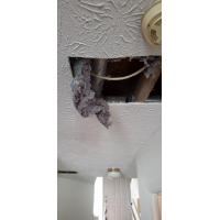 This pile of lint was spilling out from a home’s ceiling due to a break in the vent line.