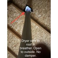 Dryer vent directed outside without a damper. 