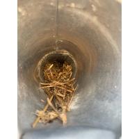This dryer vent was filled with straw! This is a look inside the vent before it was cleaned. 